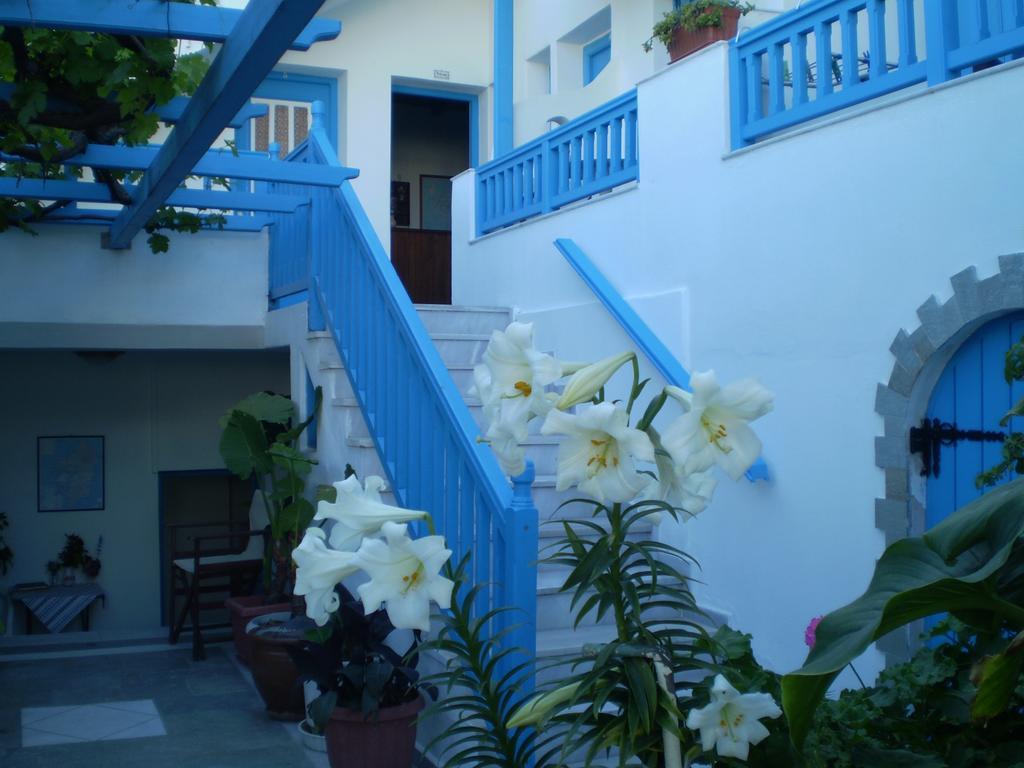Hotel Anixis Naxos City Bagian luar foto