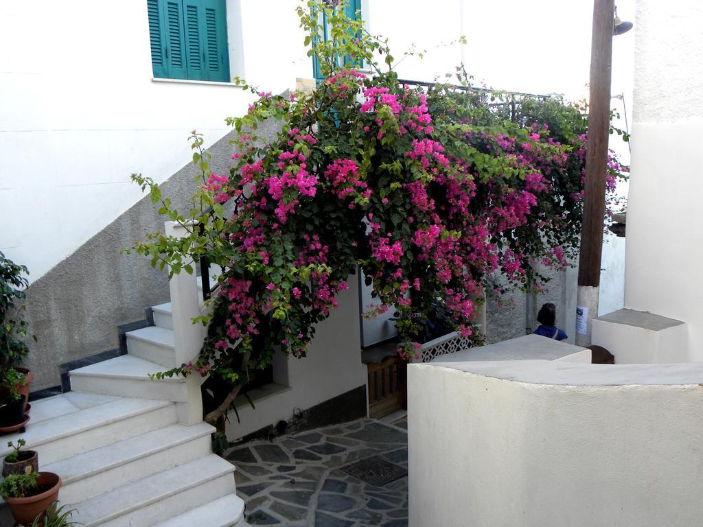 Hotel Anixis Naxos City Bagian luar foto